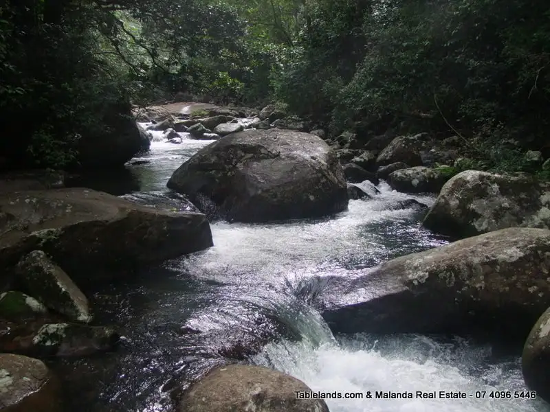 Main view of Homely rural property listing, LS516/Lot 1 Watson Road, Millaa Millaa QLD 4886