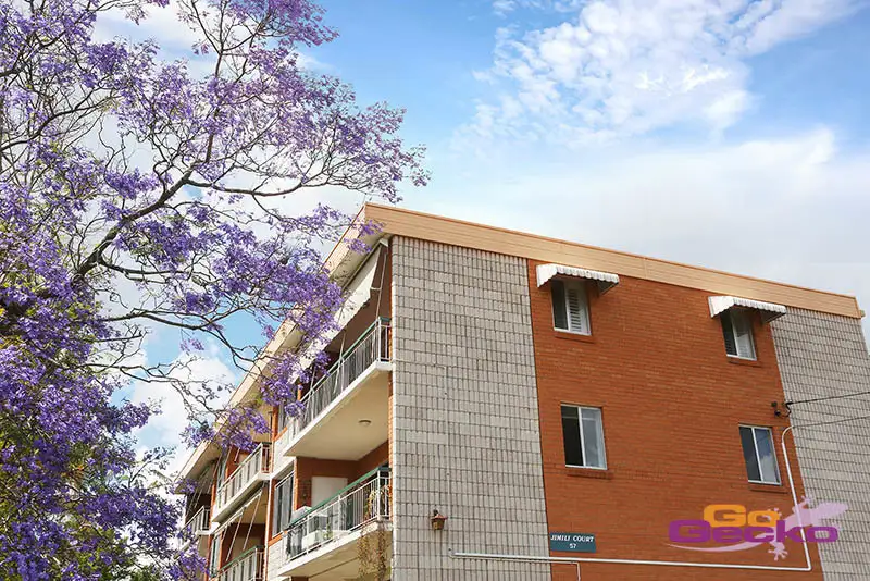 Main view of Homely apartment listing, 3/57 Shire Street, Coorparoo QLD 4151