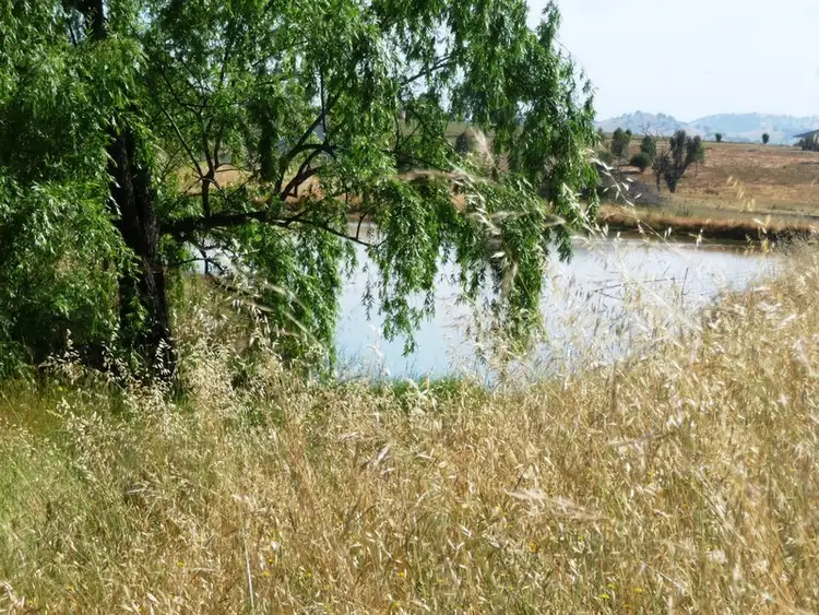 Sixth view of Homely land listing, 978 Table Top Road, Table Top NSW 2640