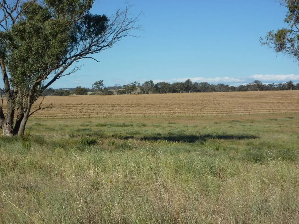 Main view of Homely land listing, LOT 5 Whiteleys Road, Molong NSW 2866