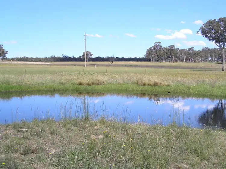 Seventh view of Homely rural property listing, 231 Excelsior Road, Mudgee NSW 2850