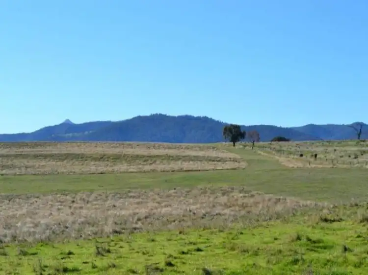 Fifth view of Homely rural property listing, LOT 1, 245 Wairere Road, Mansfield VIC 3722