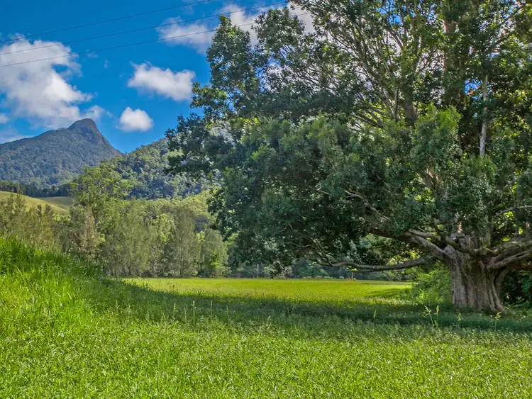 Fourth view of Homely land listing, 1864 Kyogle Road, Uki NSW 2484