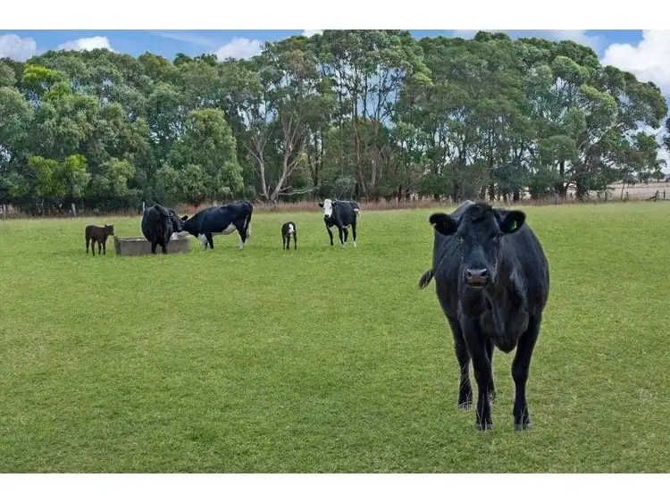 Second view of Homely rural property listing, 1 Blacks Lane, Purnim VIC 3278