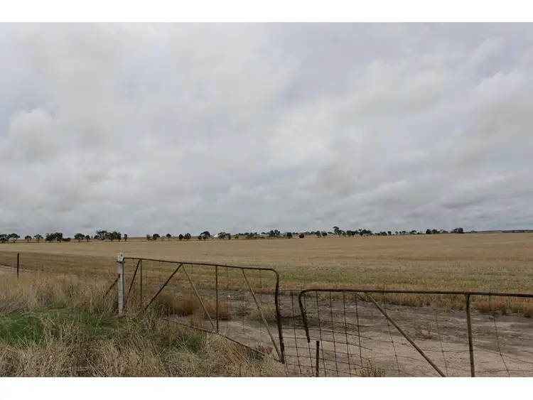 Second view of Homely rural property listing, 3311 Fiegert Road, Cunderdin WA 6407