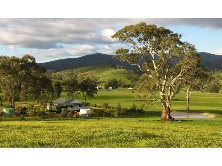 Main view of Homely house listing, 547 Dry Creek Road, Bonnie Doon VIC 3720