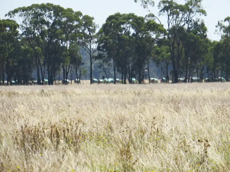 Third view of Homely land listing, LOT 1 Tait Hamilton Road, Heathcote VIC 3523