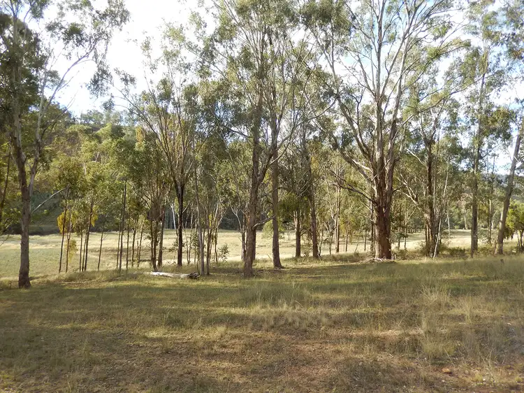 Fifth view of Homely rural property listing, 35, LOT 35 Isaacs Creek Road, Timor NSW 2338