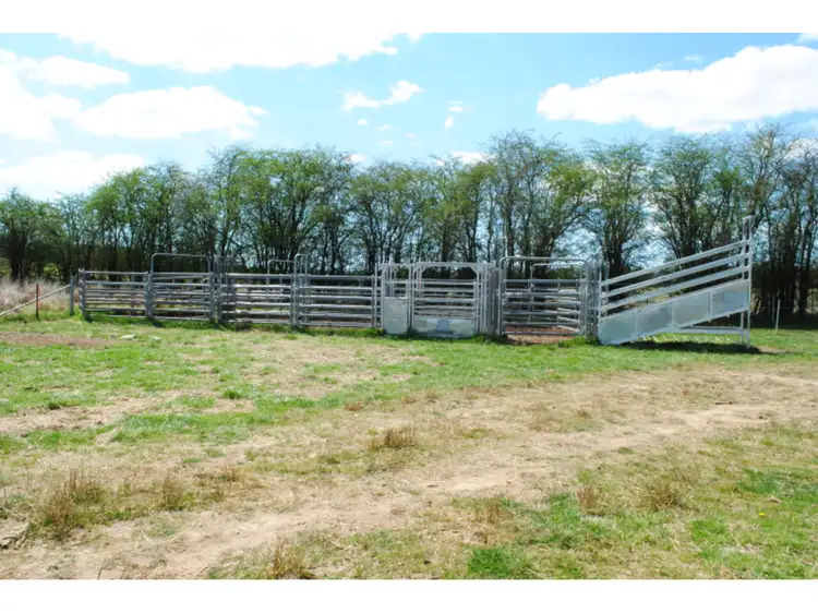 Second view of Homely rural property listing, 23 Williams Lane, Shadforth NSW 2800