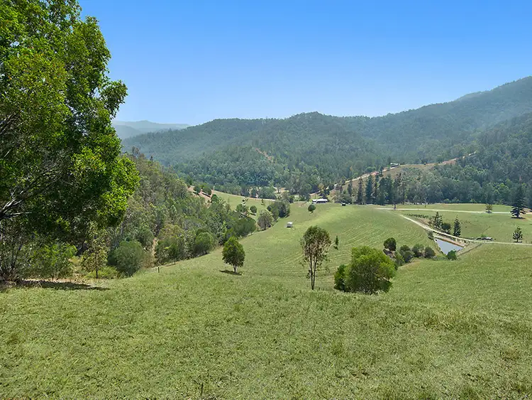 Fourth view of Homely house listing, 124 Raynbird Creek Road, Laceys Creek QLD 4521