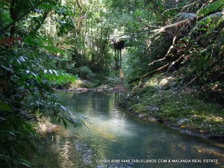 Fourth view of Homely rural property listing, LS1465 RN1739 Old Palmerston Highway, Millaa Millaa QLD 4886