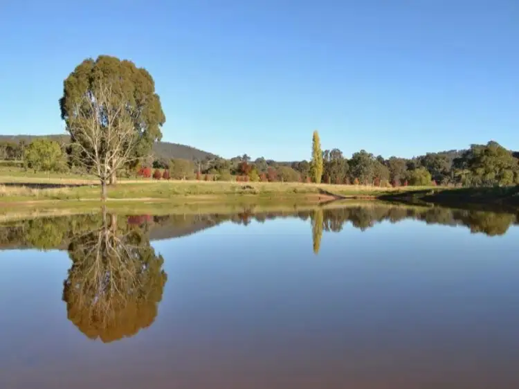 Fourth view of Homely rural property listing, LOT 1, 217 Desmonds Road, Mansfield VIC 3722