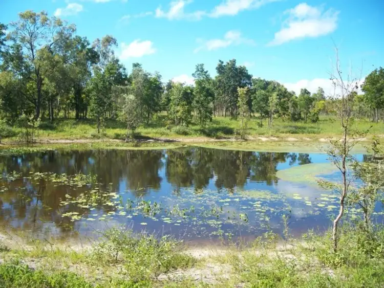 Third view of Homely rural property listing, 133 East Mary Road, Mount Carbine QLD 4871
