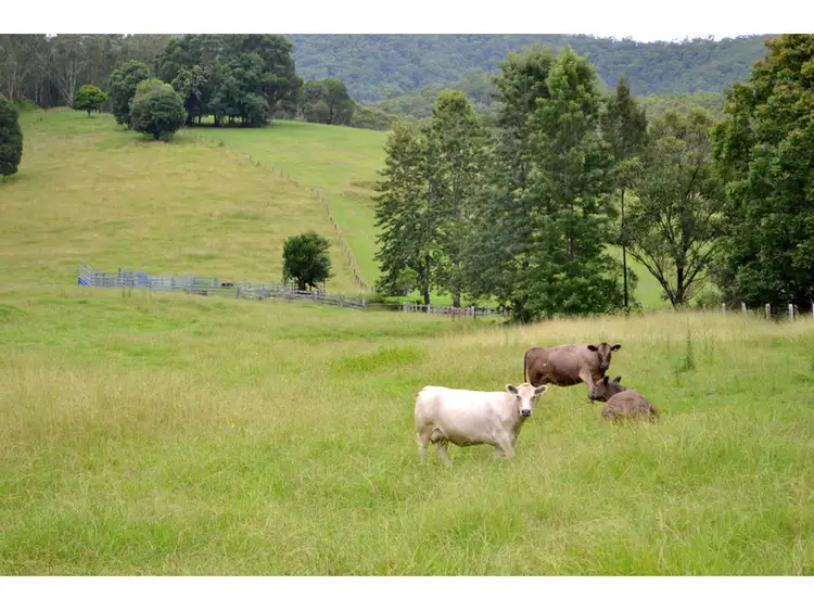 Sixth view of Homely rural property listing, 68 Misty Vale Way, Hollisdale NSW 2446