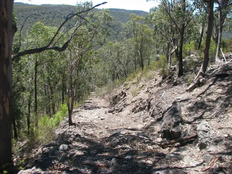 Second view of Homely rural property listing, 7/1640 Joadja Road, Joadja NSW 2575