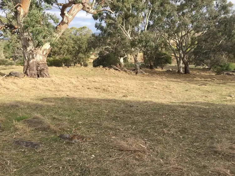 Fifth view of Homely rural property listing, Lot 200 Millview Road, Eden Valley SA 5235