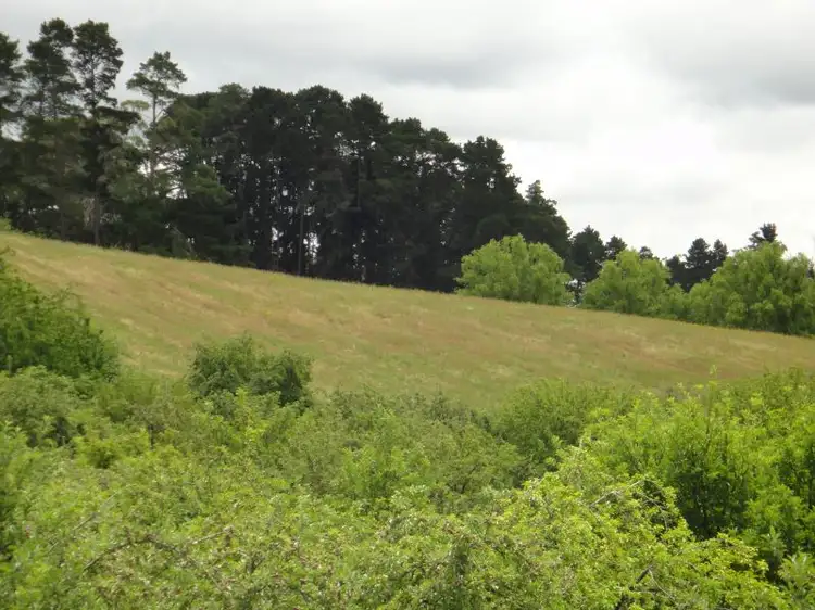 Third view of Homely rural property listing, 73 Swamp Road, Lenswood SA 5240