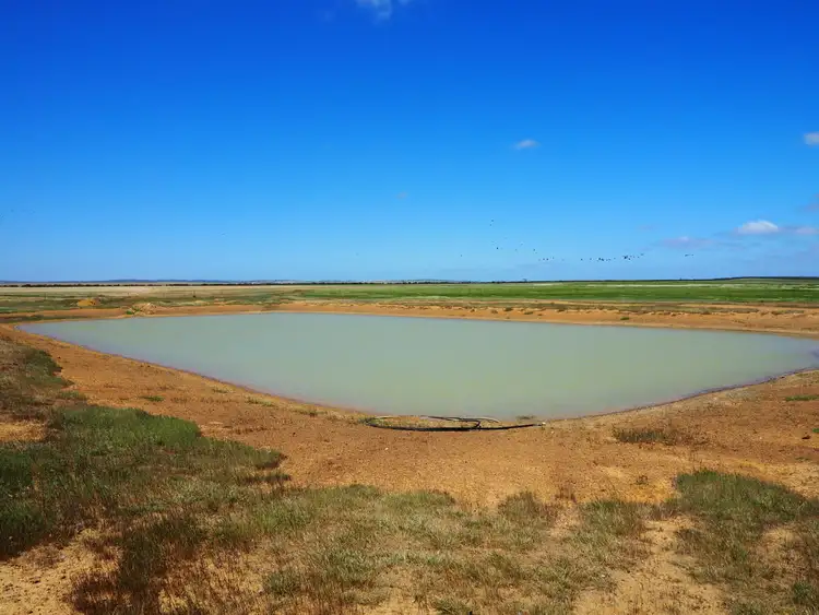 Third view of Homely rural property listing, 93 Yorkies Gully Road, Wangary SA 5607