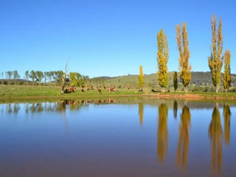 Sixth view of Homely rural property listing, LOT 1, 245 Wairere Road, Mansfield VIC 3722