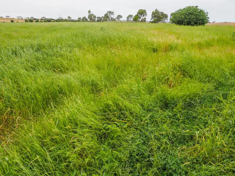 Fifth view of Homely rural property listing, 1154 Flinders Highway, Coomunga SA 5607