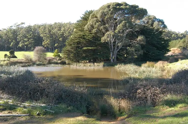 Sixth view of Homely house listing, 118 Isandula Road, Gawler TAS 7315