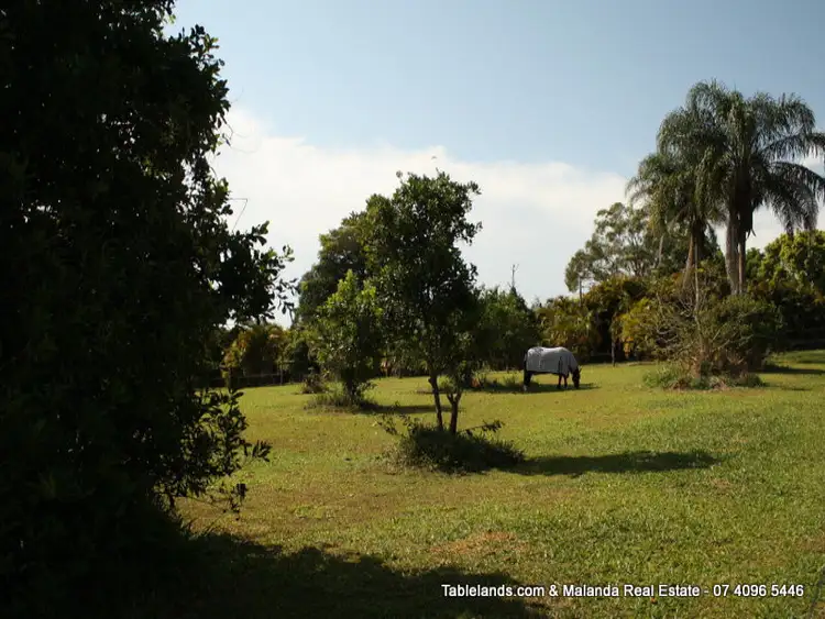 Fourth view of Homely land listing, LOT L668/Lot 31, 169 Lakes Drive, Lake Eacham QLD 4884