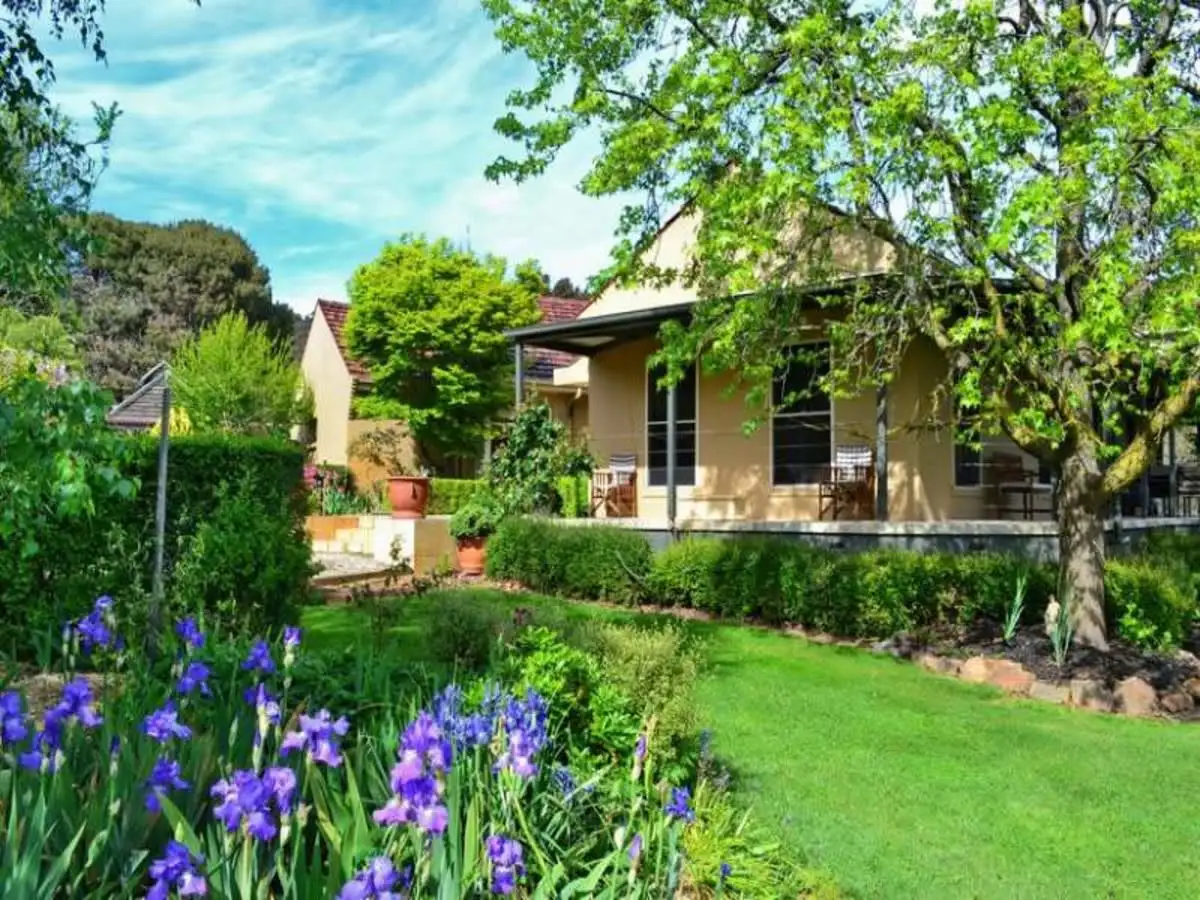 Main view of Homely house listing, 824 Maroondah Highway, Mansfield VIC 3722