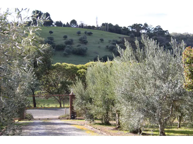 Fourth view of Homely rural property listing, Address available on request