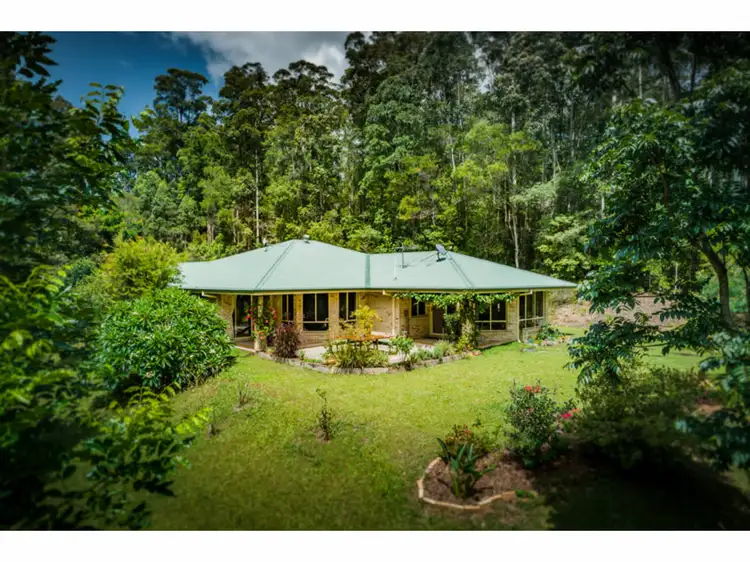 138 Mahers Road, Bellingen NSW 2454
