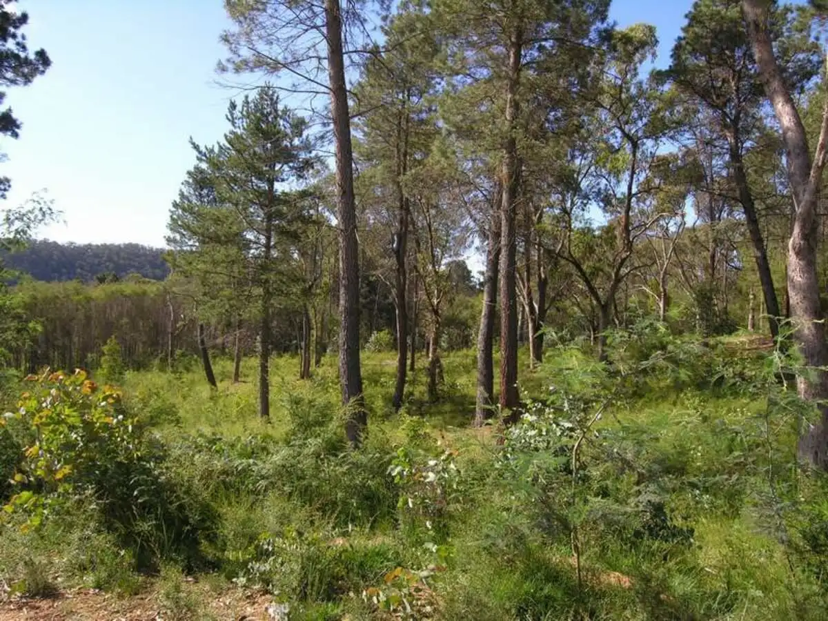 Main view of Homely land listing, Lot 9 Rifle Range Road, Jamieson VIC 3723