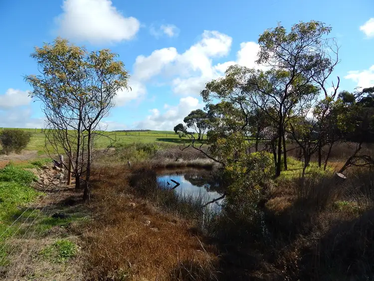 Fifth view of Homely rural property listing, 403 Charlton Gully Road, Port Lincoln SA 5606