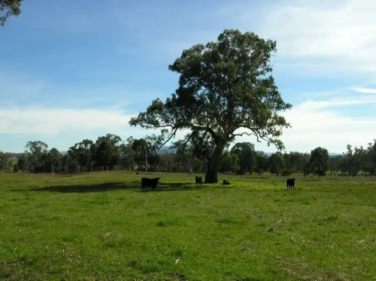 Fourth view of Homely house listing, 69 Howes Creek Road, Mansfield VIC 3722