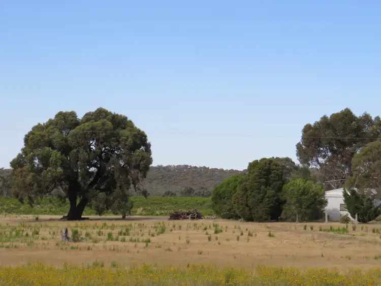 Fifth view of Homely land listing, 601 Warrowitue Forest Road, Heathcote VIC 3523