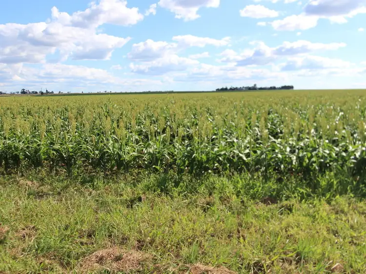 Lot 99 & 296 Willow Springs- Beutel Road, Missen Flat QLD 4361