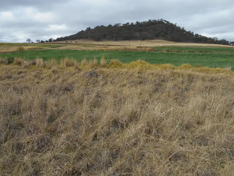 Main view of Homely rural property listing, 1043 Manapouri Road, Pilton QLD 4361