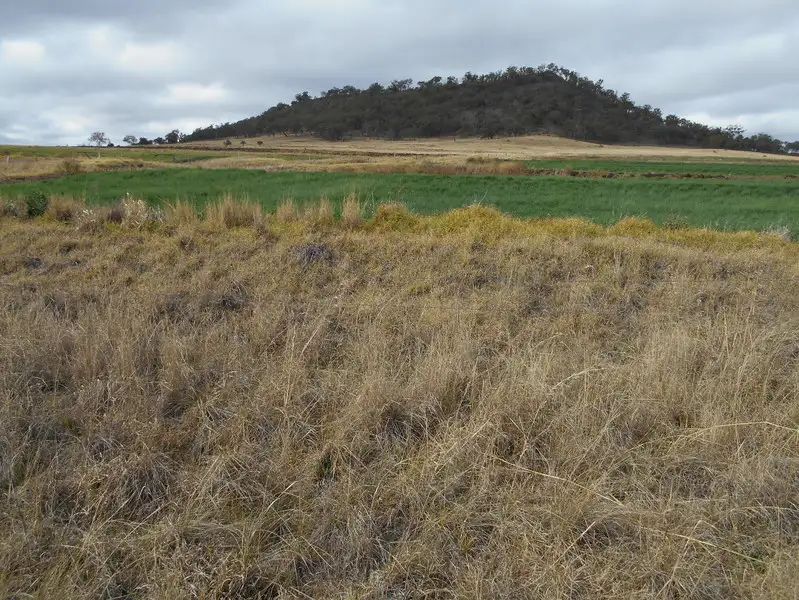 Main view of Homely rural property listing, 1043 Manapouri Road, Pilton QLD 4361