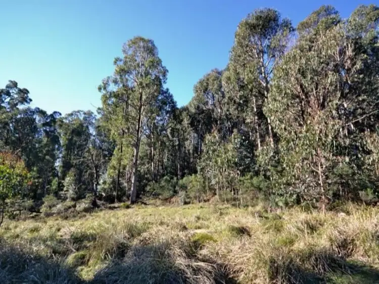 Main view of Homely rural property listing, LOT 9 10, Cambatong Road, Tolmie VIC 3723