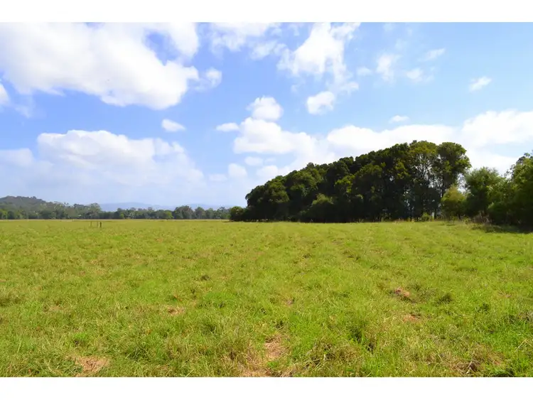 Fifth view of Homely rural property listing, 1456 Rollands Plains Road, Rollands Plains NSW 2441