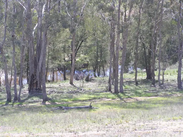 Seventh view of Homely rural property listing, 2735 Hill End Road, Mudgee NSW 2850