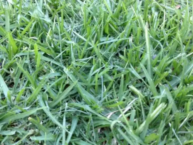 LOT 602 Alarah Boulevard, Cranbourne West VIC 3977