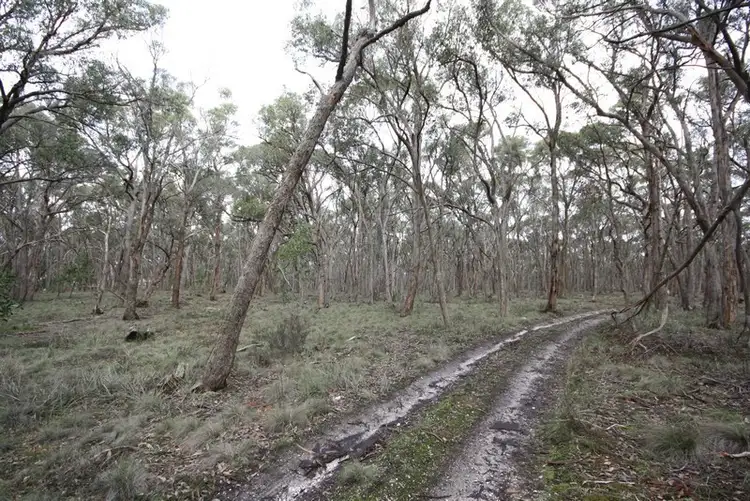 Fifth view of Homely land listing, C/A 14 Bells Road, Haddon VIC 3351
