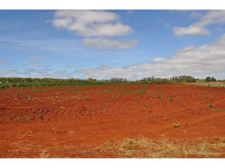 141, LOT 141, 531 Hansen Road, Walkamin QLD 4872