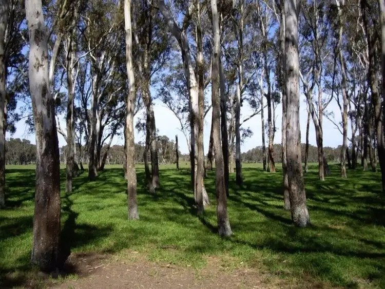 Fourth view of Homely rural property listing, Lot 494 Chuck Road, Tarpeena SA 5277