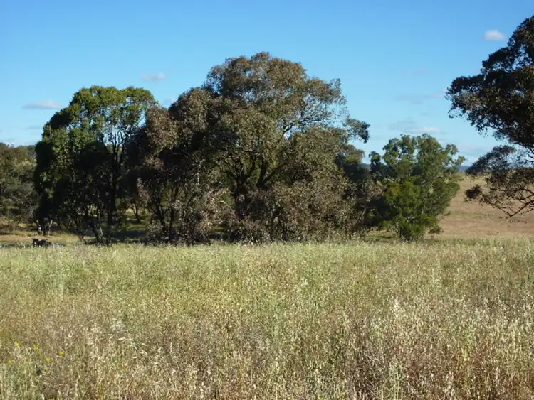 Third view of Homely land listing, LOT 5 Whiteleys Road, Molong NSW 2866