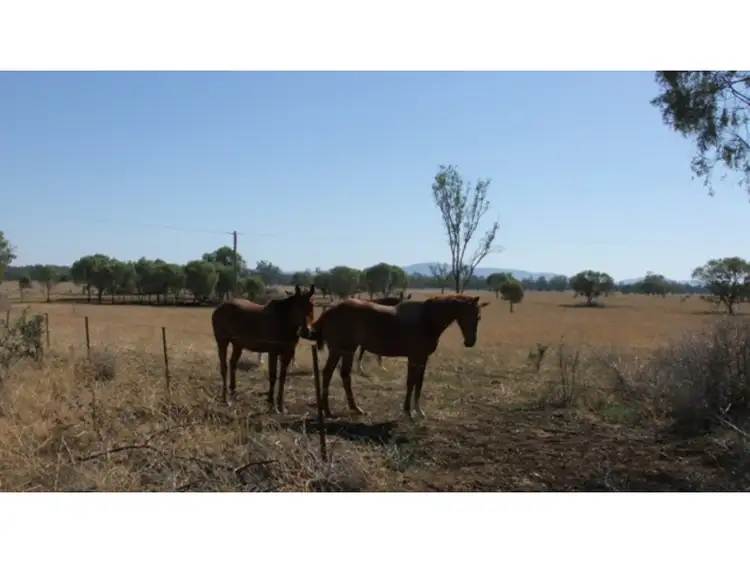 Second view of Homely land listing, 33-107 Lochrey Rd, Gunnedah NSW 2380