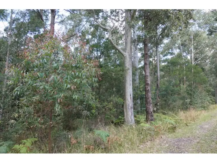 Third view of Homely land listing, LOT 61 Invermay Avenue, Tomerong NSW 2540