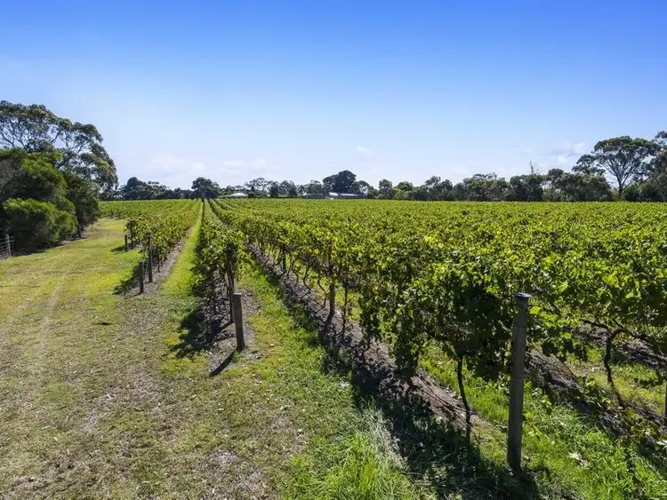Seventh view of Homely rural property listing, 945 Moorooduc Highway, Moorooduc VIC 3933