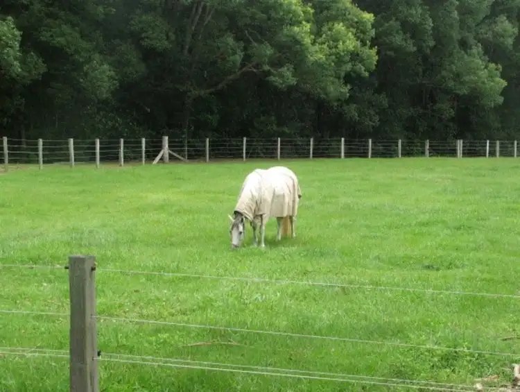 Sixth view of Homely rural property listing, 44 Upper Crystal Creek, Upper Crystal Creek NSW 2484