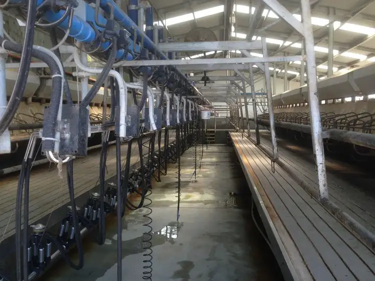 Third view of Homely rural property listing, 680 Wiridgil Lane, Camperdown VIC 3260