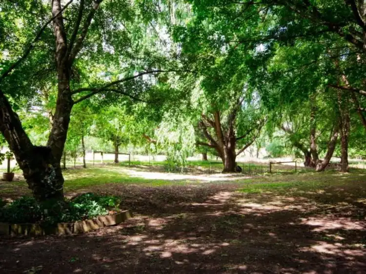 Third view of Homely rural property listing, 116 Sideling, Jamieson VIC 3723